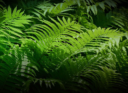 凯发k8·(中国)官网登录入口